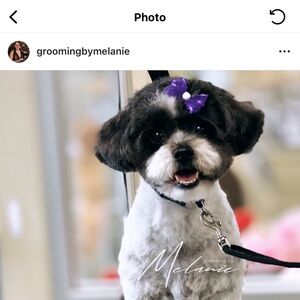 Meet your Posher, Melanie